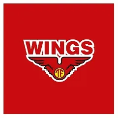 logo Wings Group