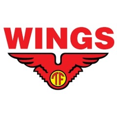 Logo Wings